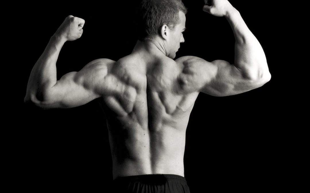 Aumento de masa muscular
